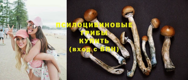а пвп мука Покачи