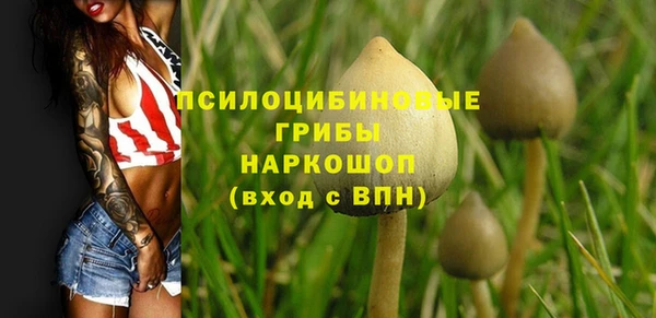 бошки Алексин